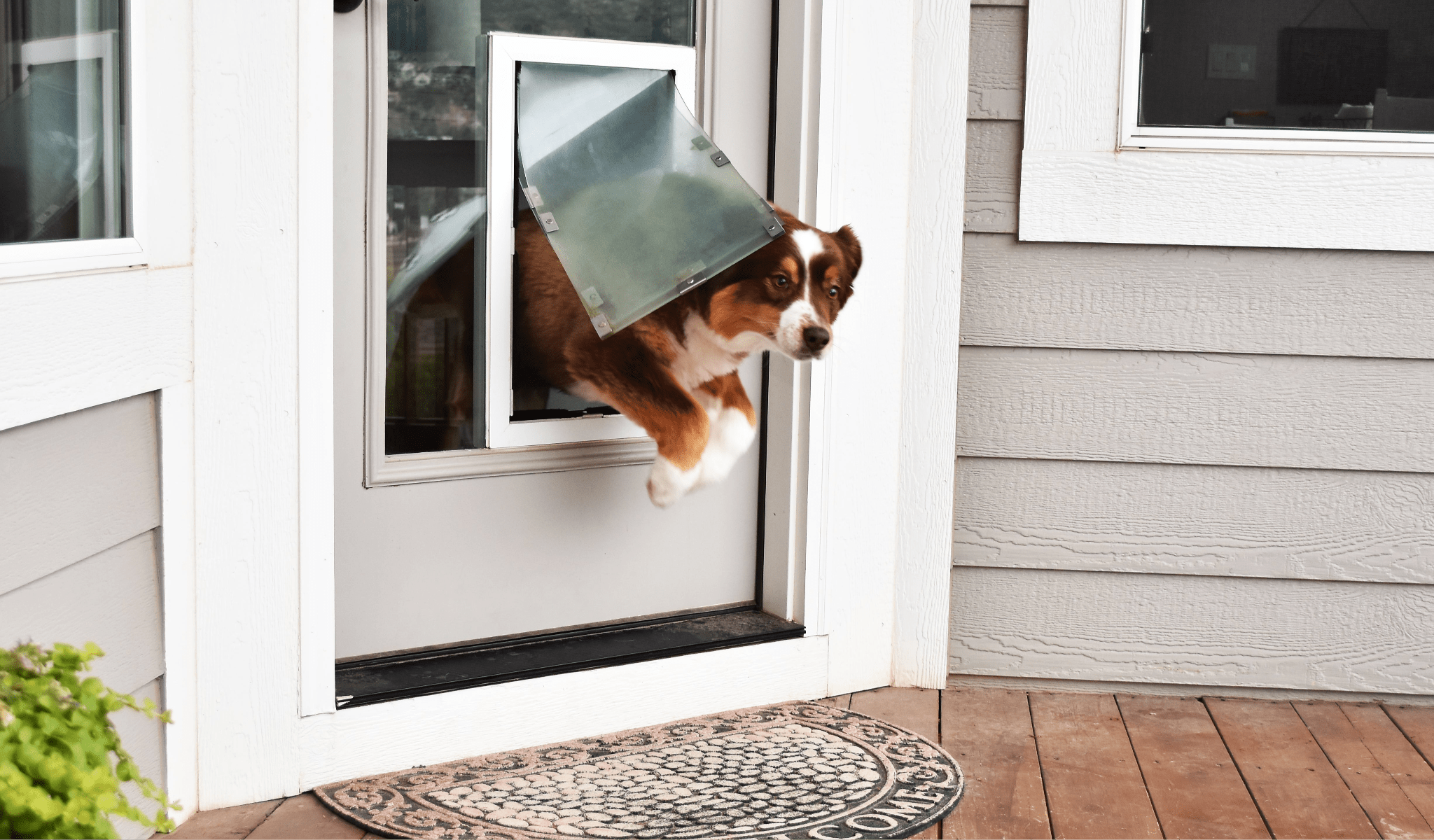 How To Choose the Right Size Dog Door