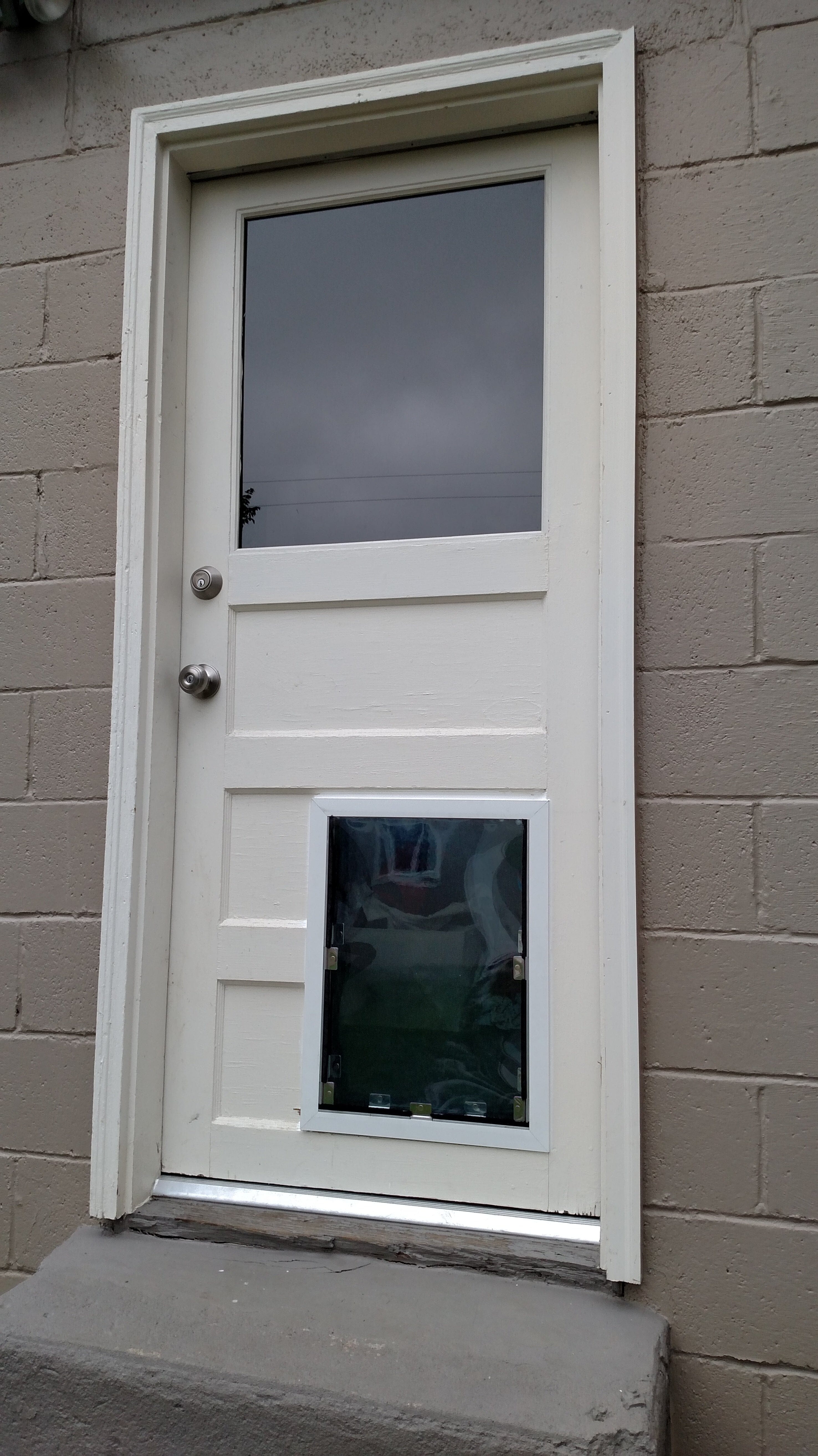 Dog Door - Door Model HALE
