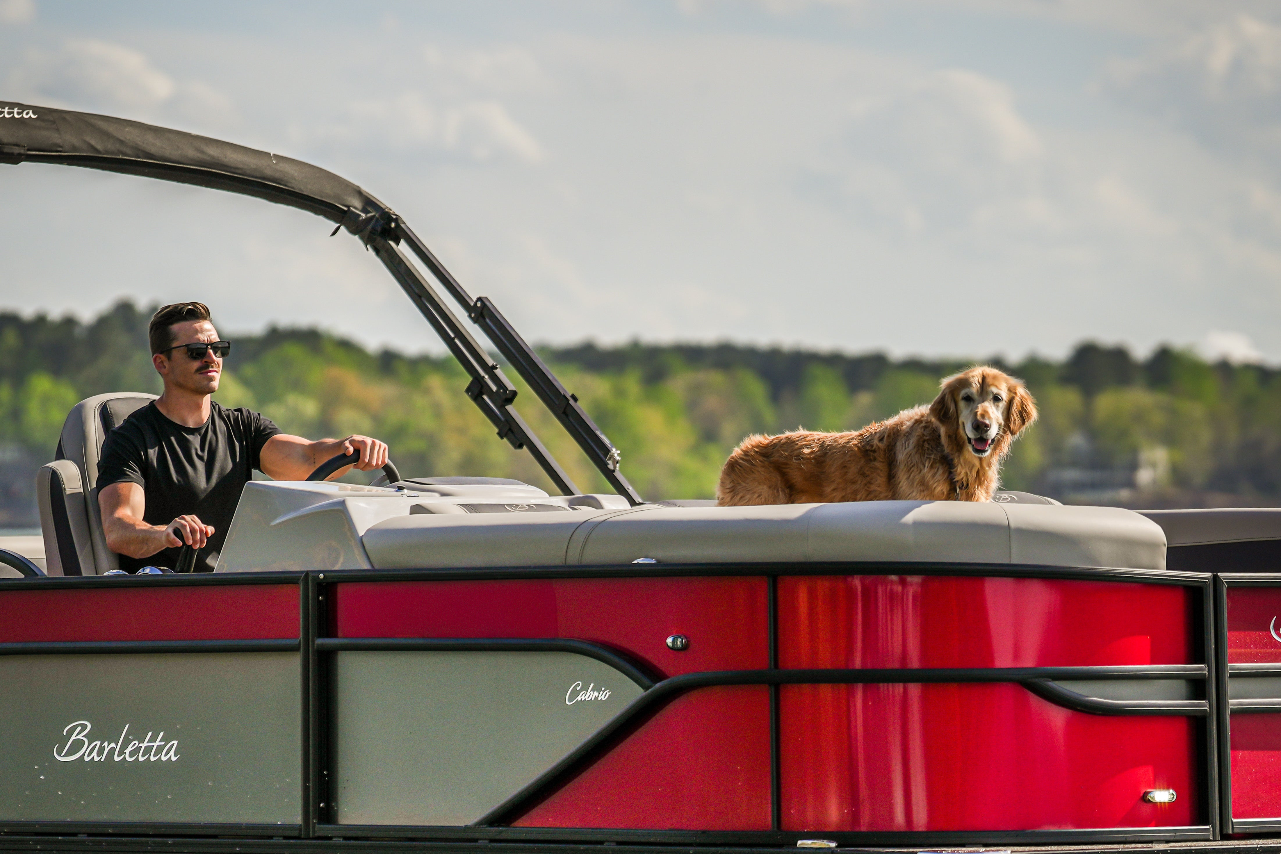 Dog Proofer