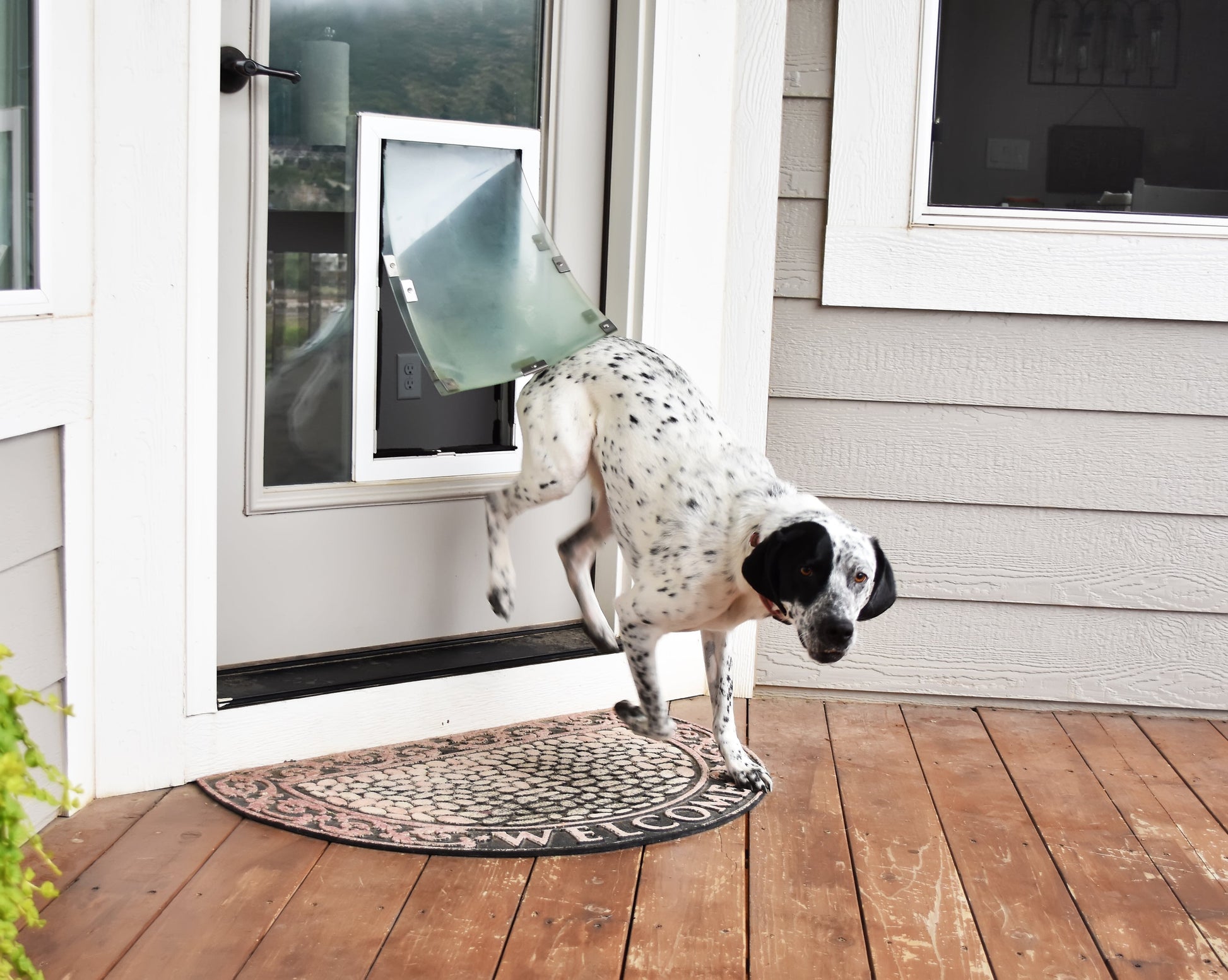 Dog Door - Door Model HALE