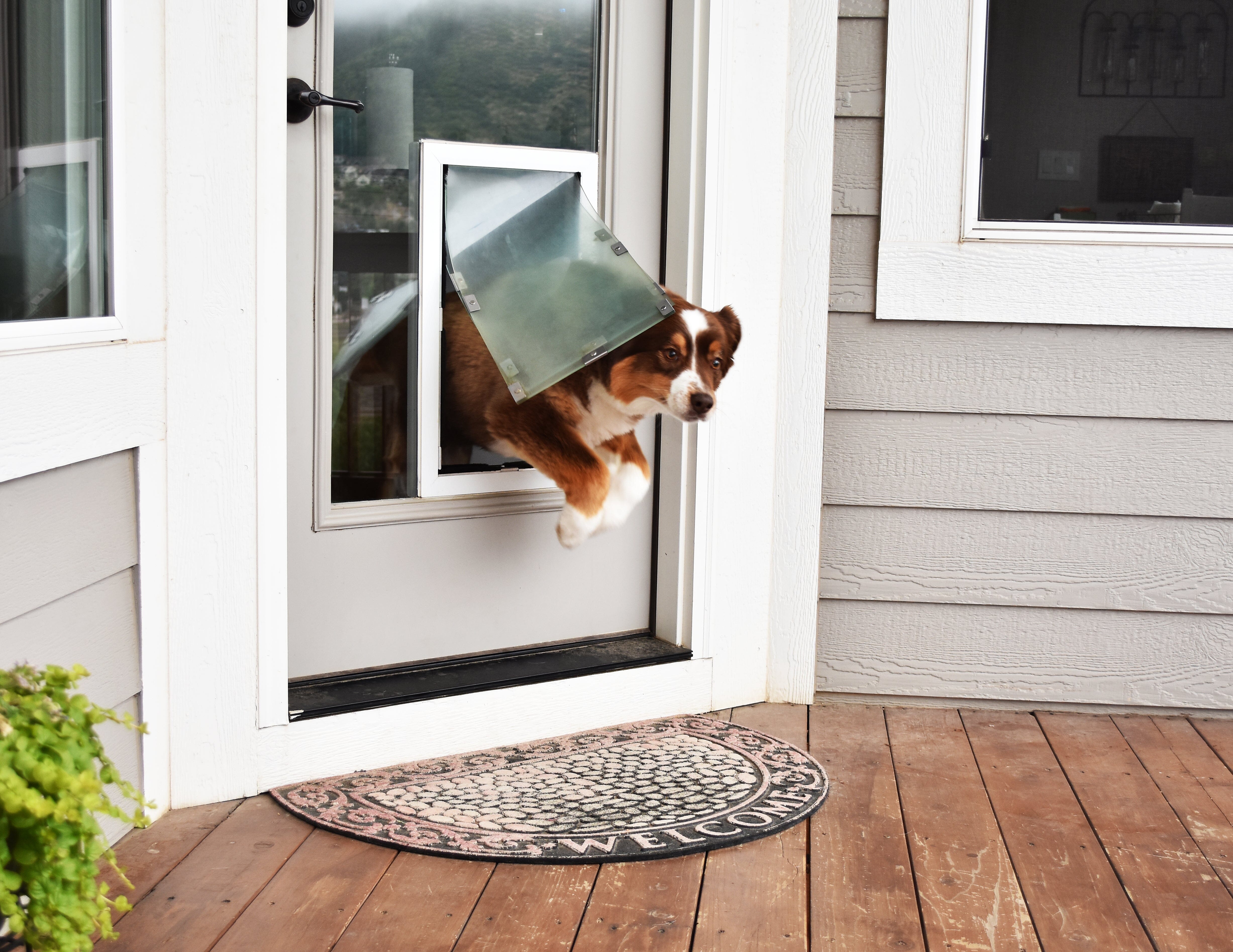 Dog Door - Door Model HALE