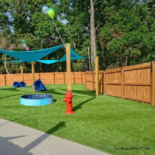 Dog Fence at Daycare
