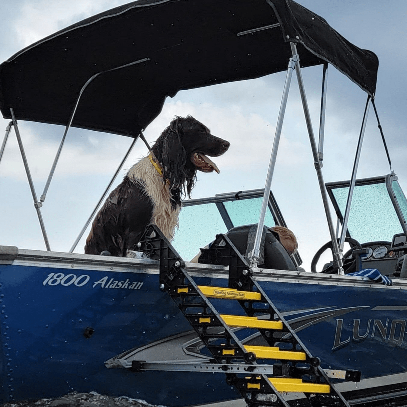 Fishing Boat Dog Ladder WaterDog Adventure Gear