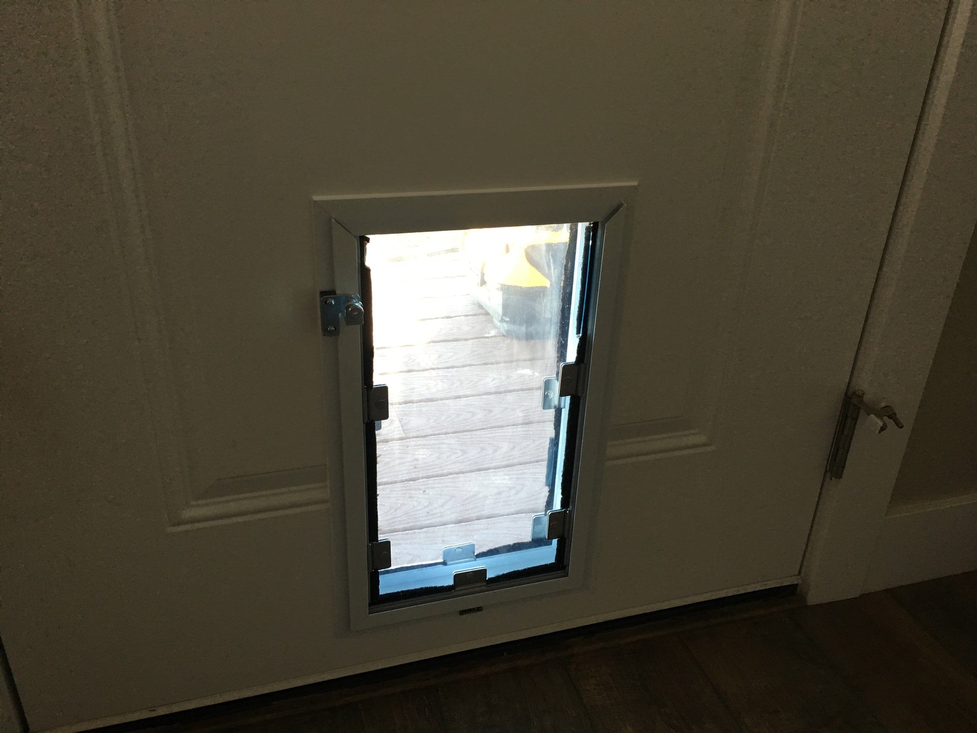 Dog Door - Door Model HALE