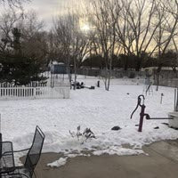 Dog Proofer Client Image