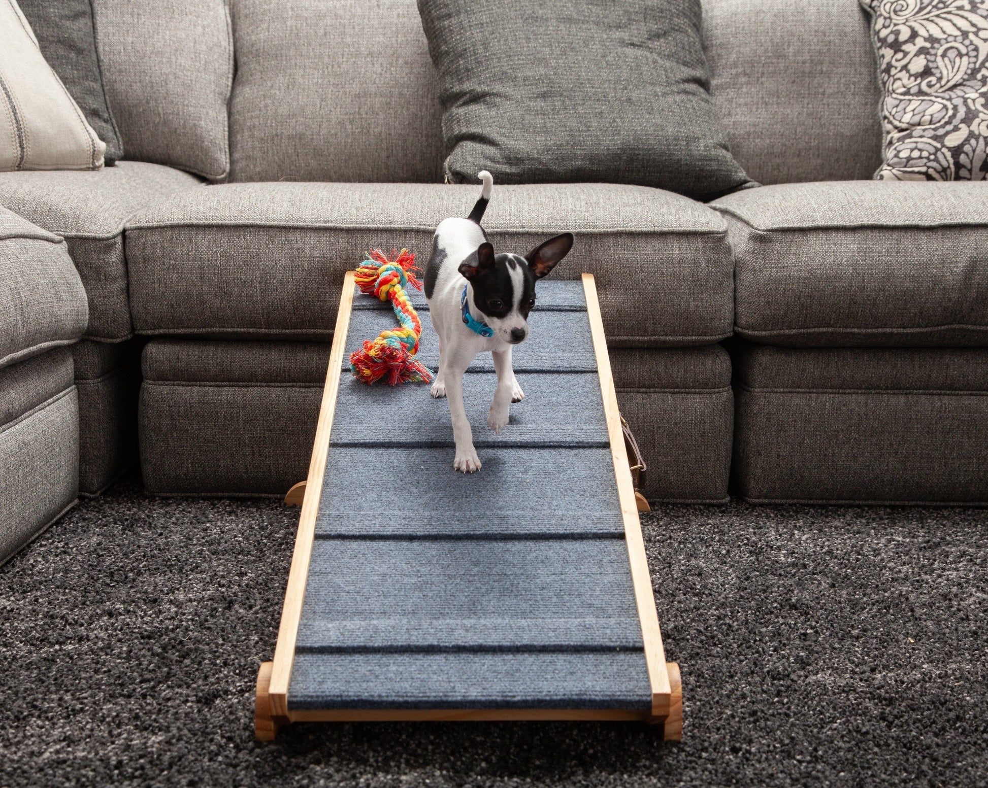 Dog-Proofer Indoor Pet Ramp Dog Proofer