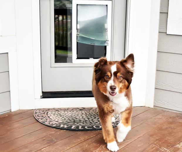 Thru-Glass Dog Door