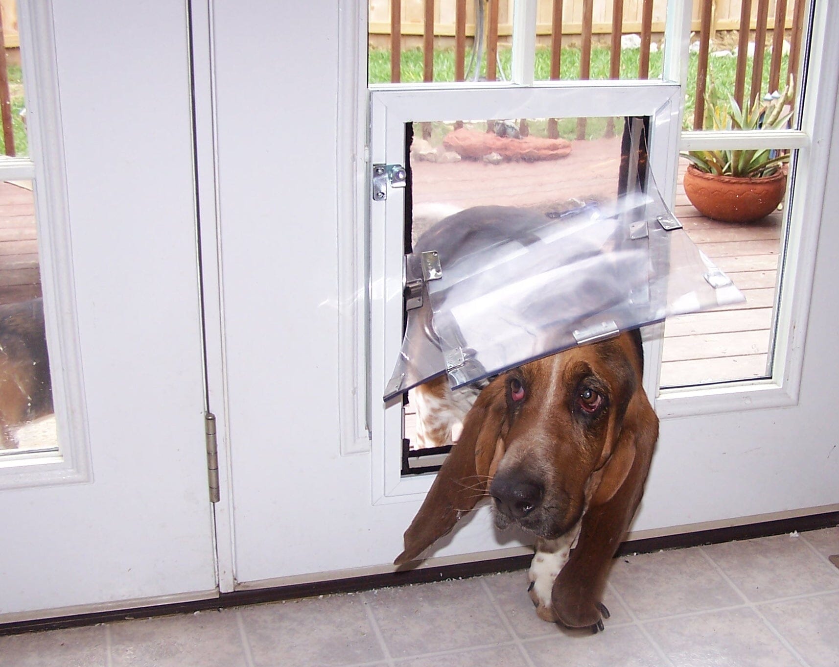 Dog Door - Door Model HALE