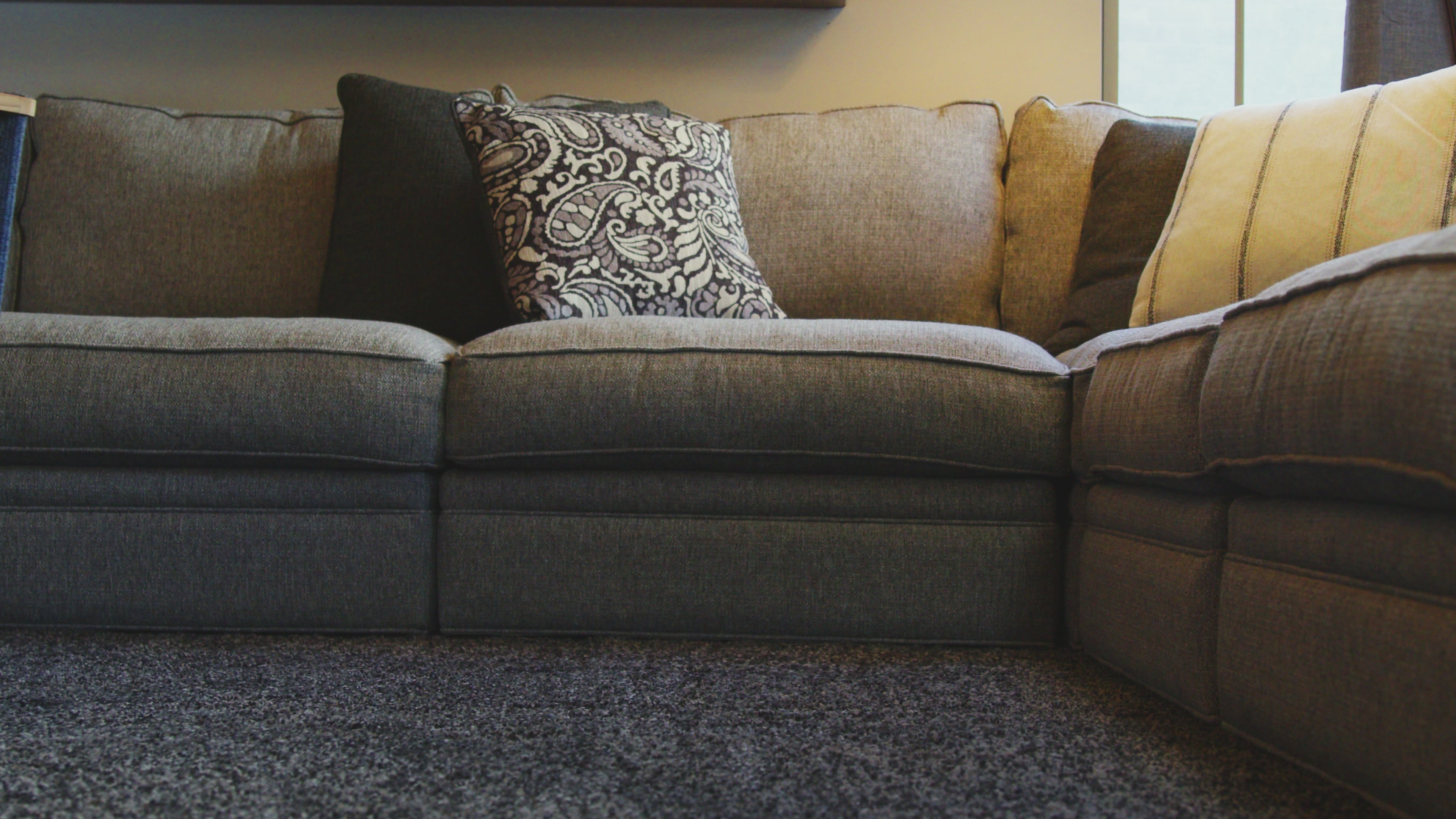 Load video: Dog-Proofer Indoor Pet Ramp