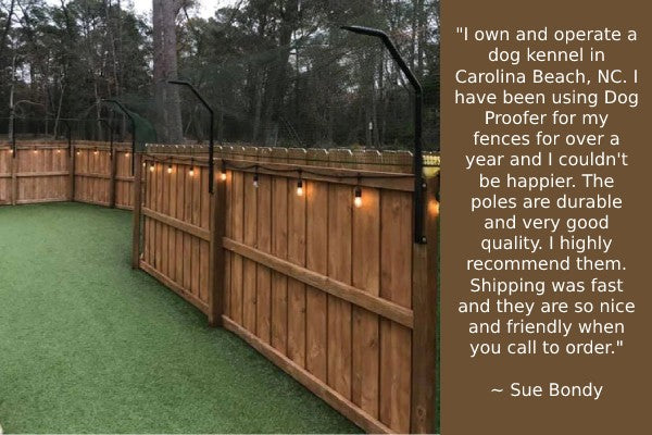 Dog Kennel Dog Fence Review