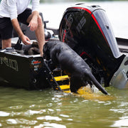Fishing Boat Dog Ladder PYP