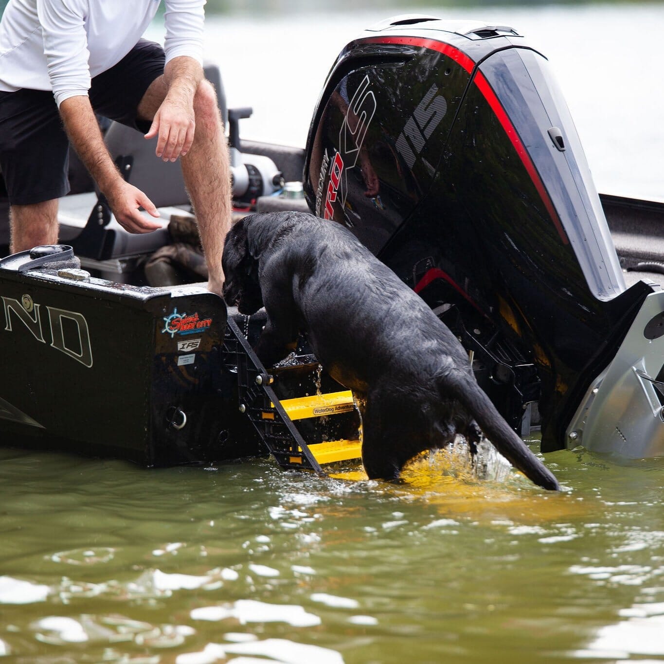 Fishing Boat Dog Ladder PYP