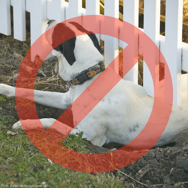 Prevent digging deals under fence