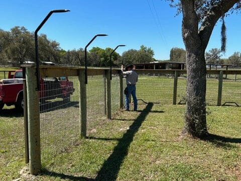 Easy Ways To Stop Your Dog From Jumping Over The Fence