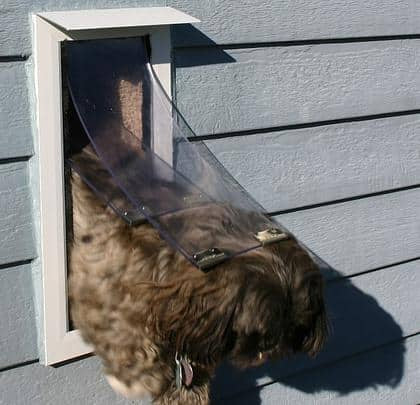Dog Door - Wall Model