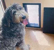 Dog Door - Wall Model HALE 