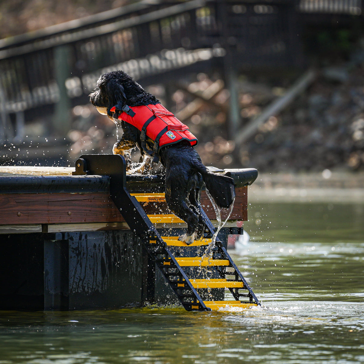 Dock Ramp/Ladder for Dogs – Dog Proofer