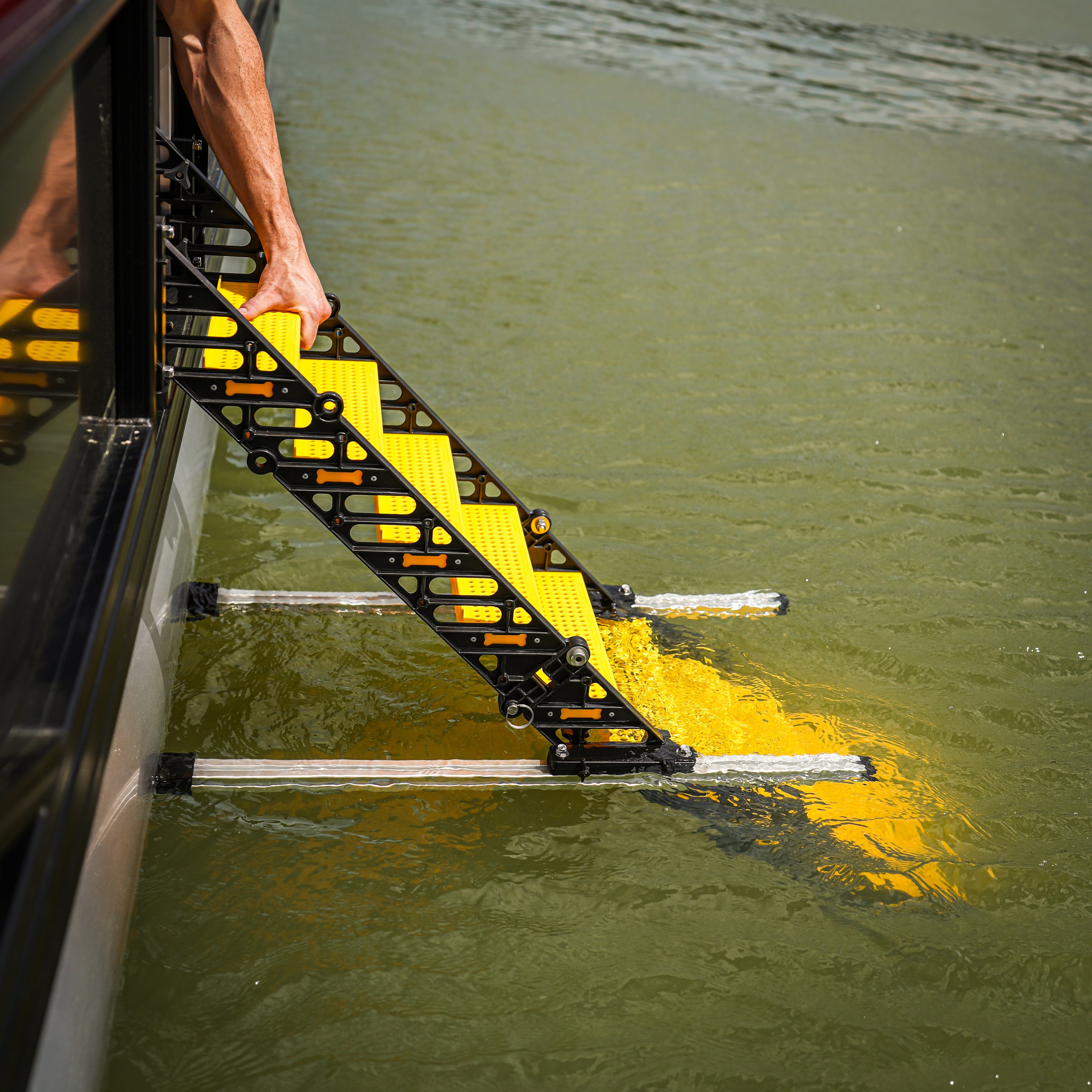 Pontoon Boat Dog Ladder WaterDog Adventure Gear 