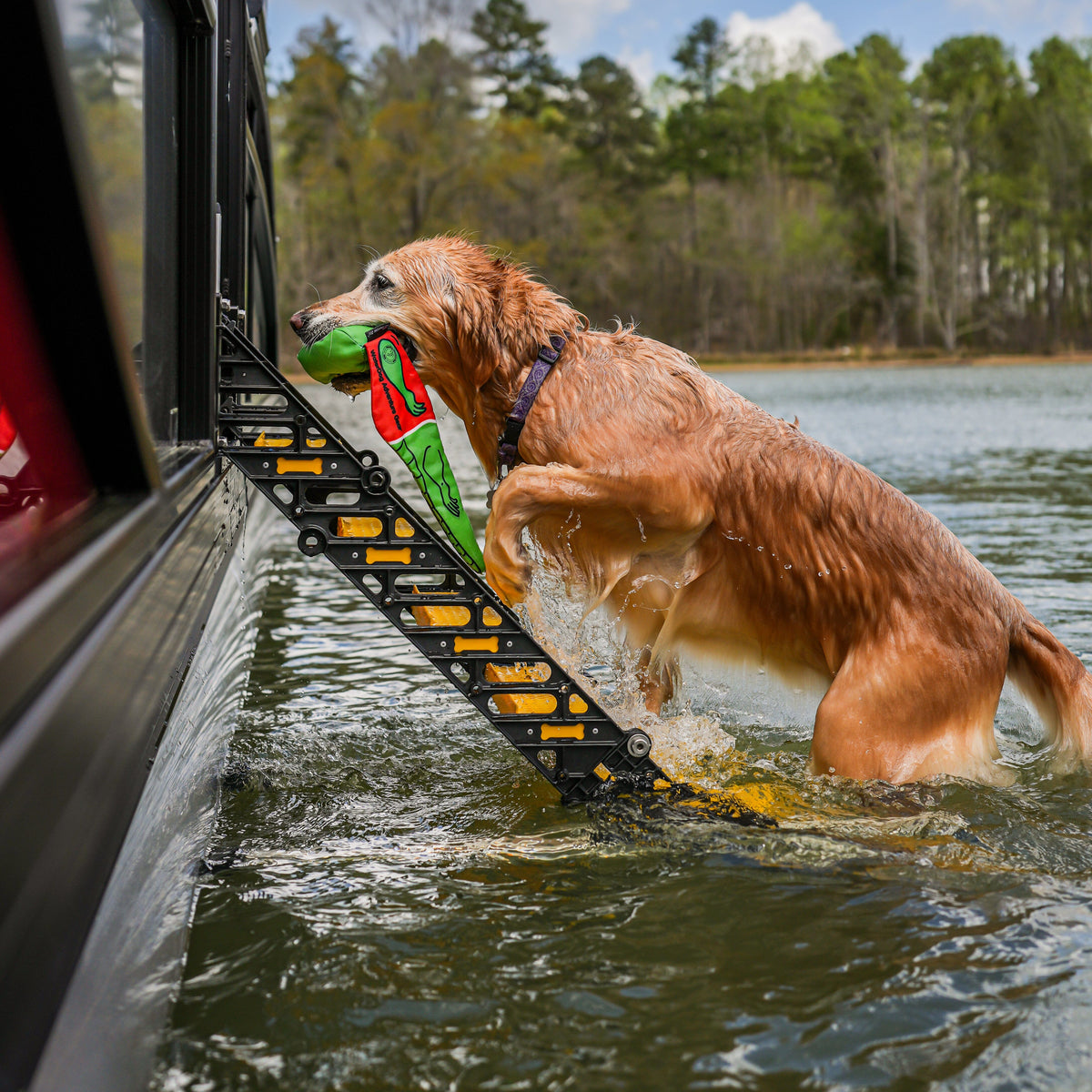 Pontoon Boat Dog Ladder WaterDog Adventure Gear 