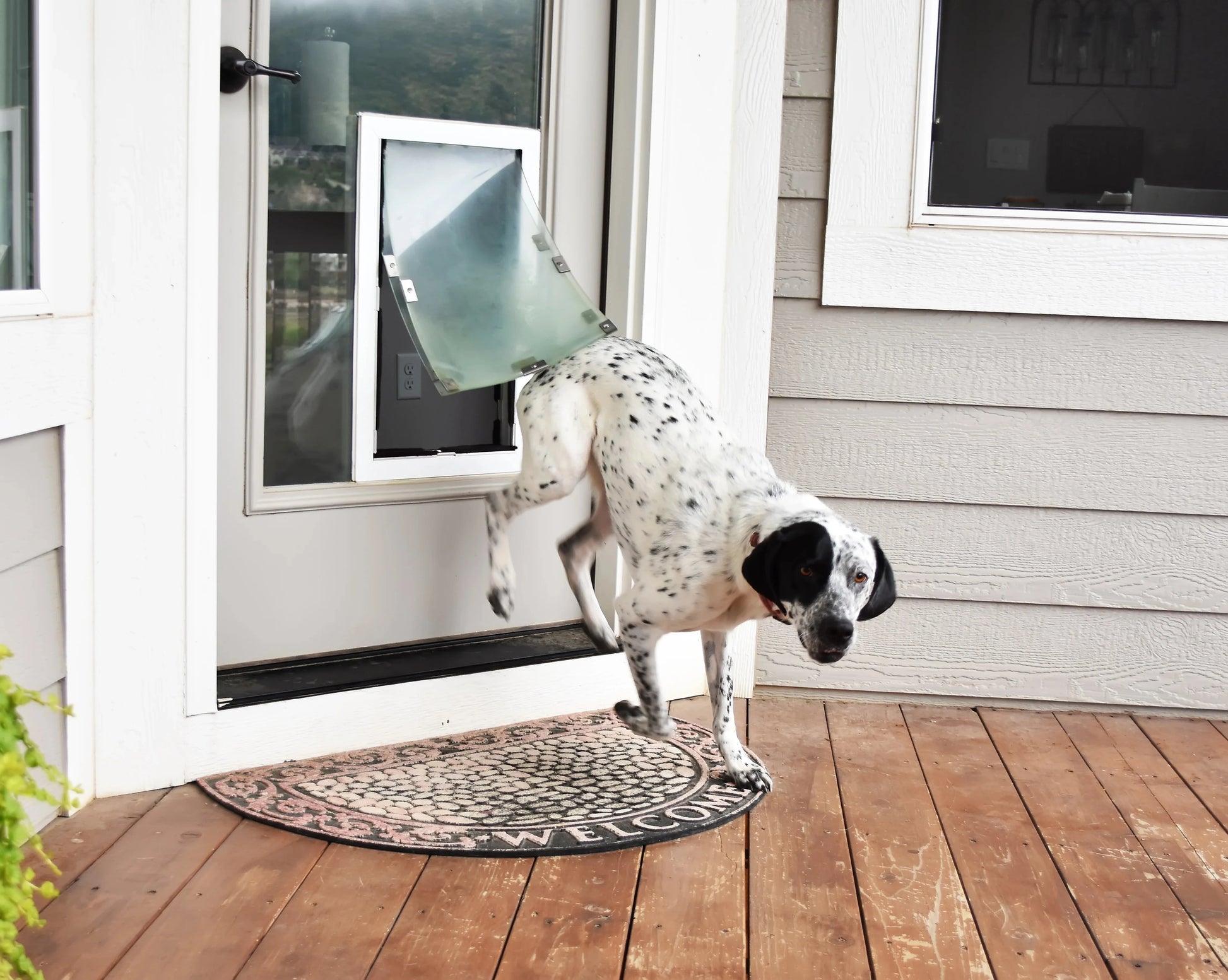 In-Glass Dog Doors | Dog Proofer