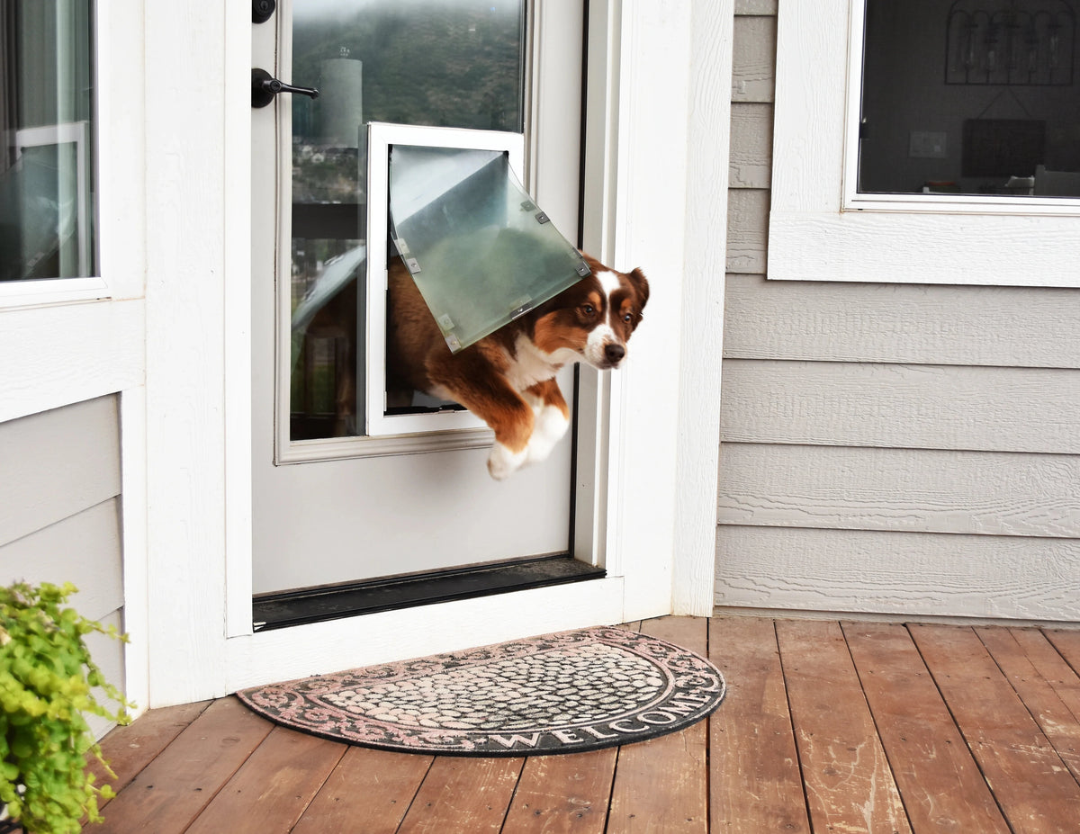 In Glass Dog Doors Dog Proofer