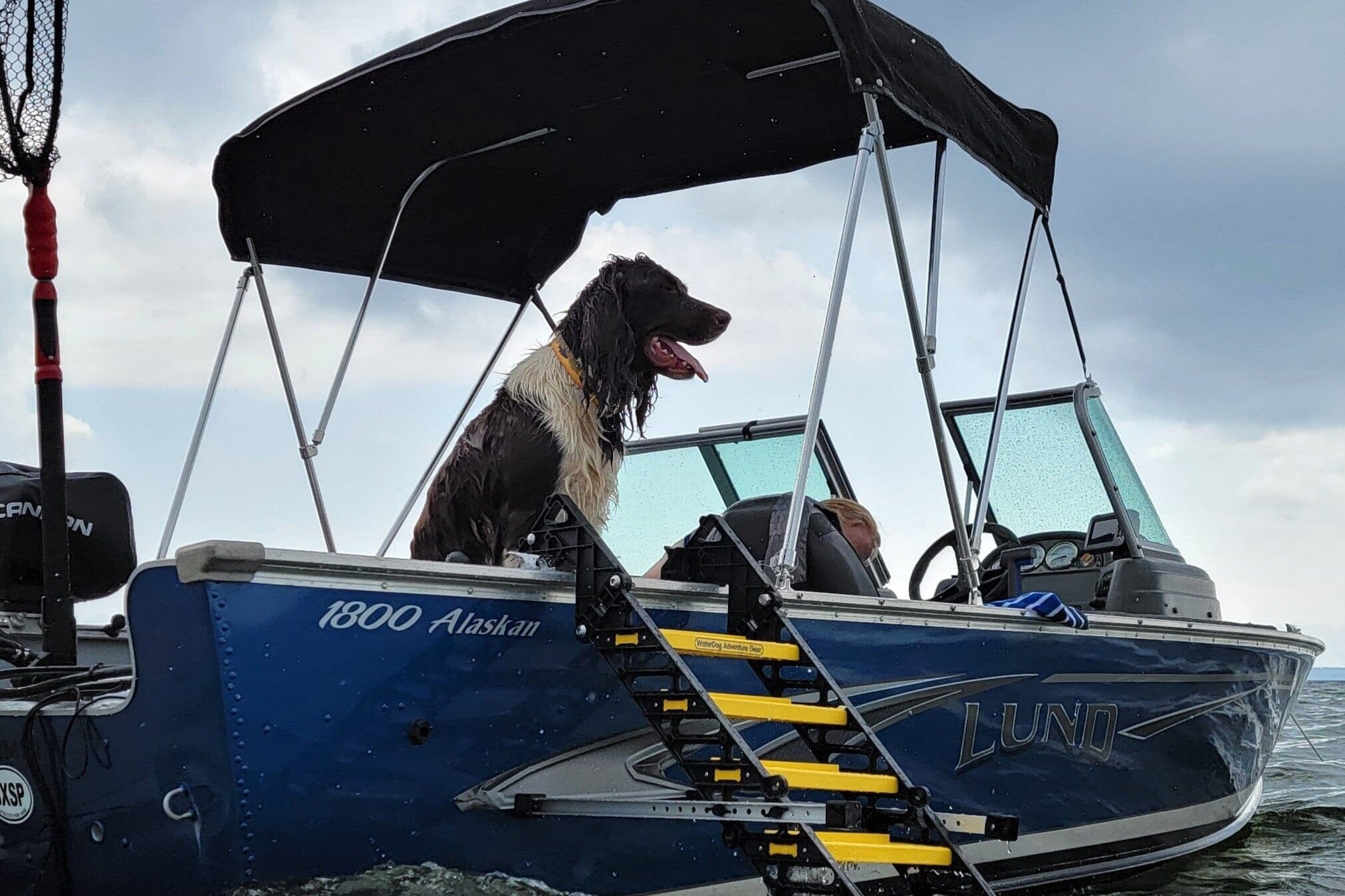 Fishing Boat Dog Ladder PYP 