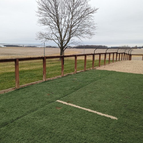 Dog daycare Using Dog Proofer