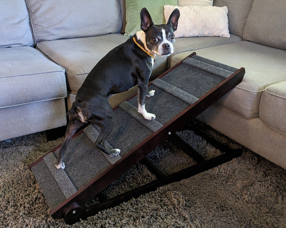 Dog-Proofer Indoor Pet Ramp Dog Proofer 