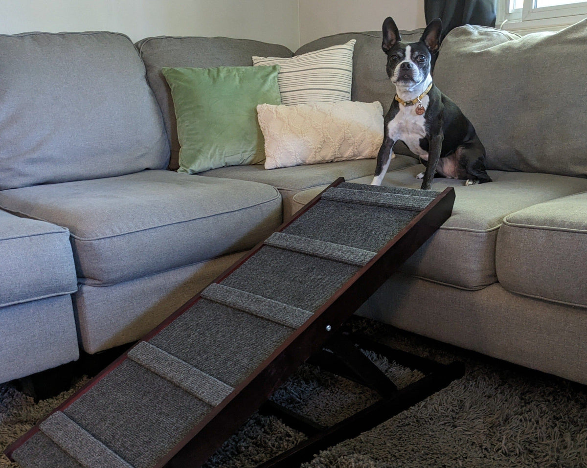 Dog-Proofer Indoor Pet Ramp Dog Proofer 