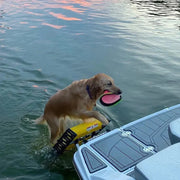 Boat Swim-Ladder Mounted Dog Ladder PYP 