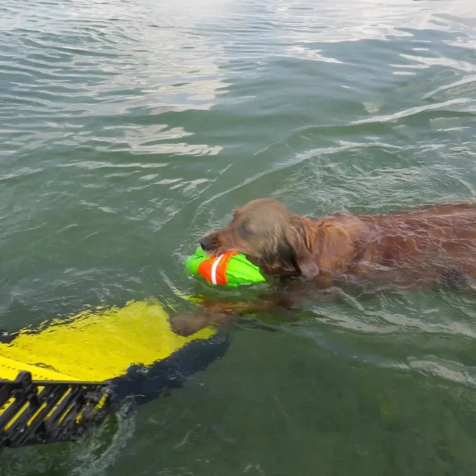 Boat Swim-Ladder Mounted Dog Ladder PYP 
