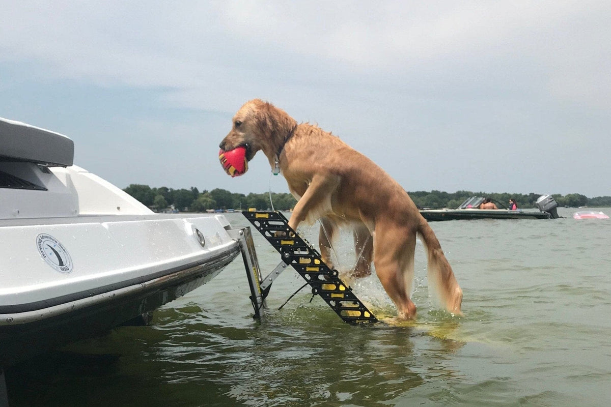 Boat Swim-Ladder Mounted Dog Ladder PYP 