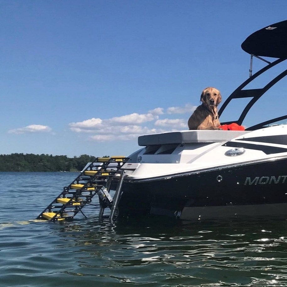 Boat Swim-Ladder Mounted Dog Ladder PYP 