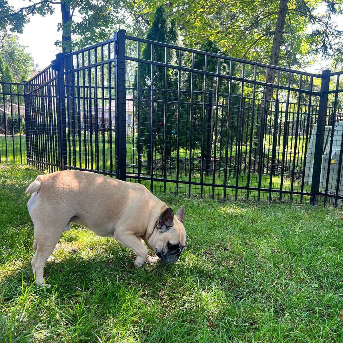 Wide Gap Barrier Dog Fence Kit Existing Fence Dog Proofer 