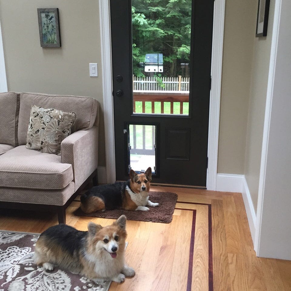 Dog Door - Door Model HALE 