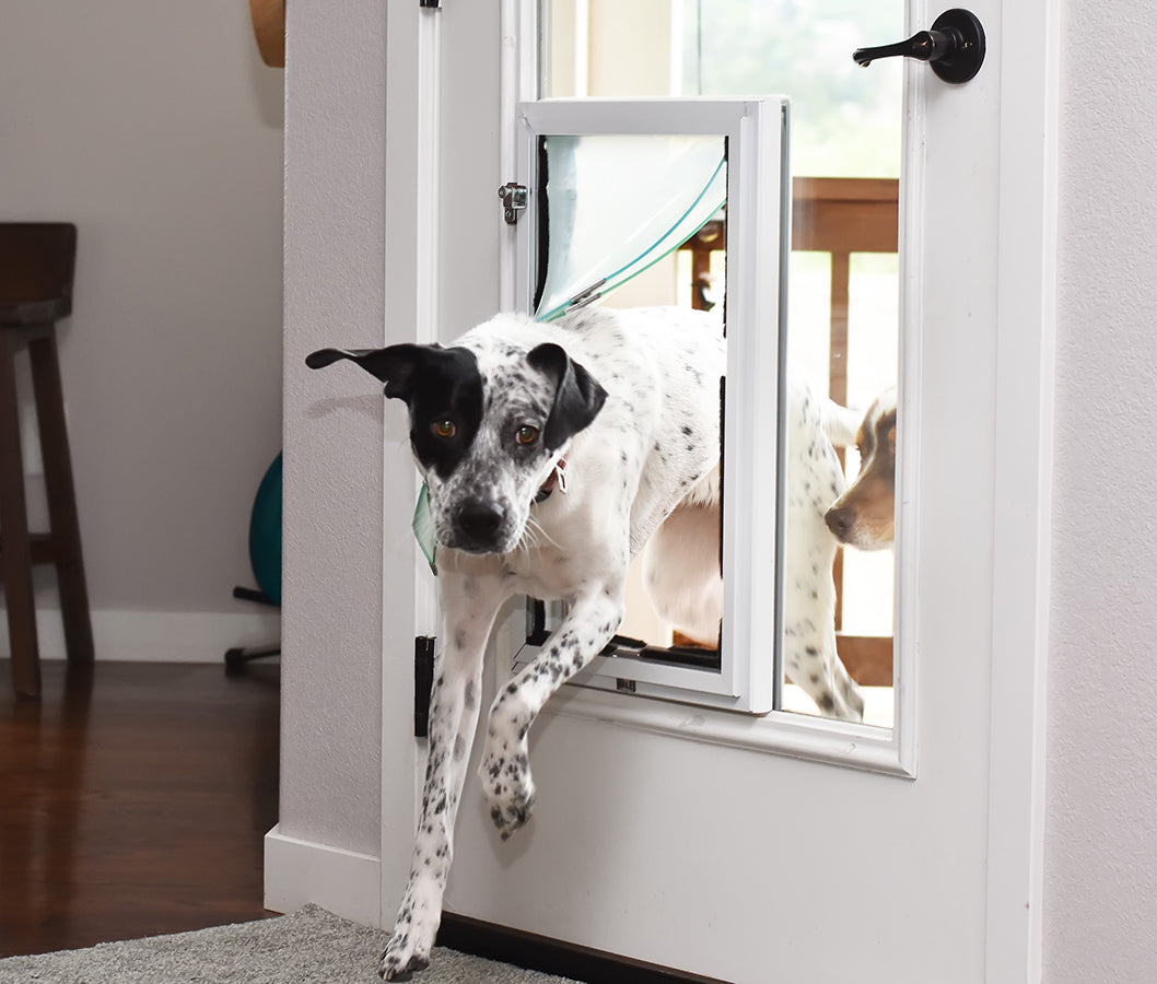 Doggy door attachment sale