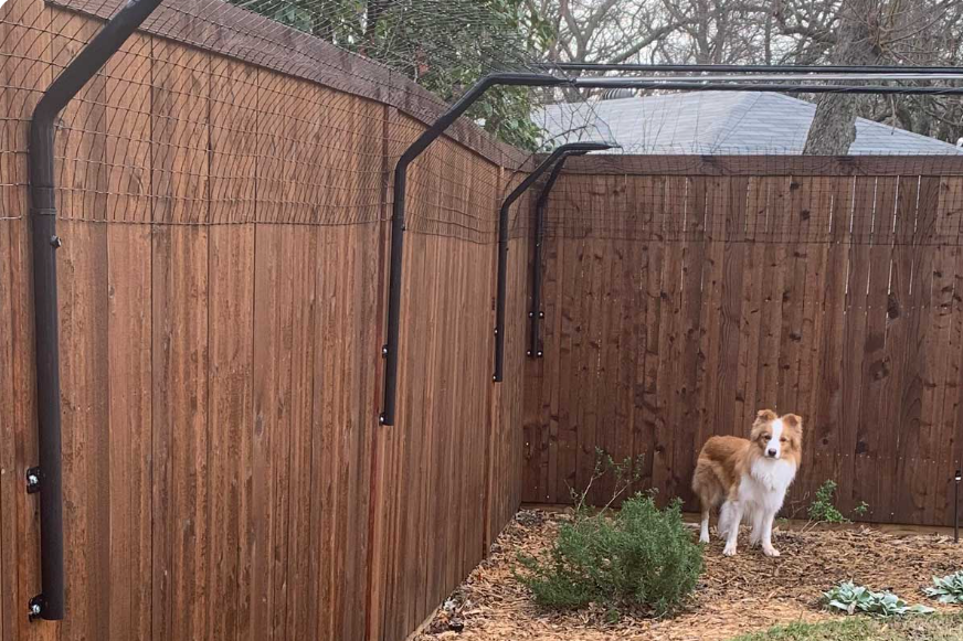 Outdoor Dog Fence Easy Dog Enclosures by Dog Proofer