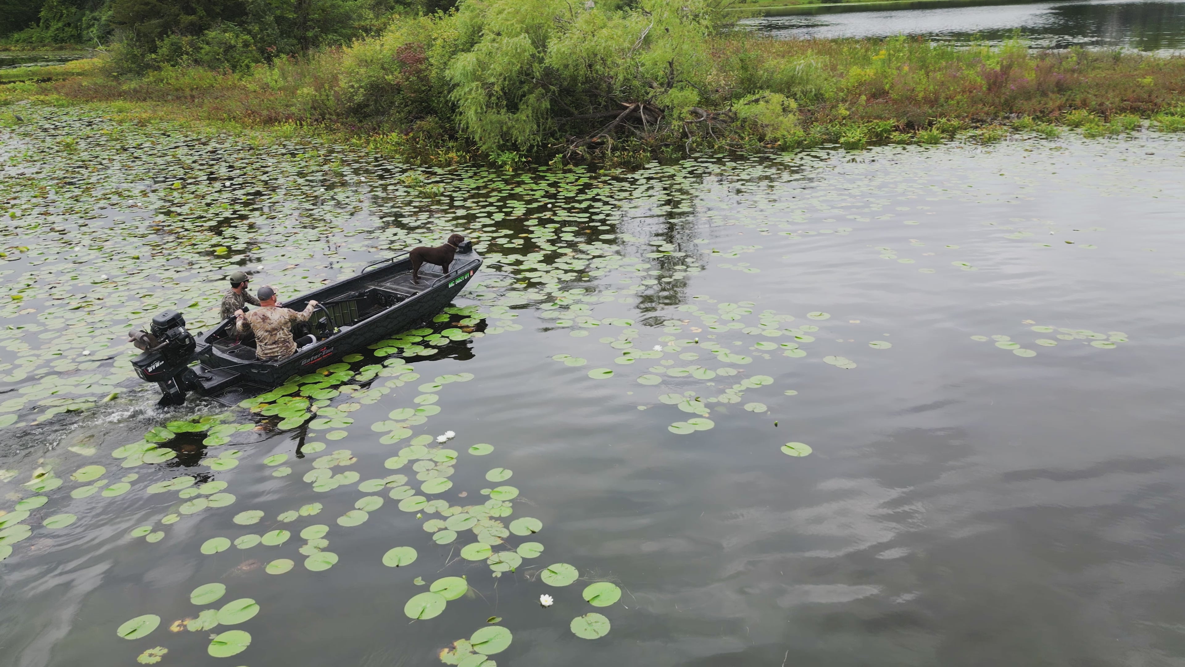 Load video: Hunting Boat Dog Ladder