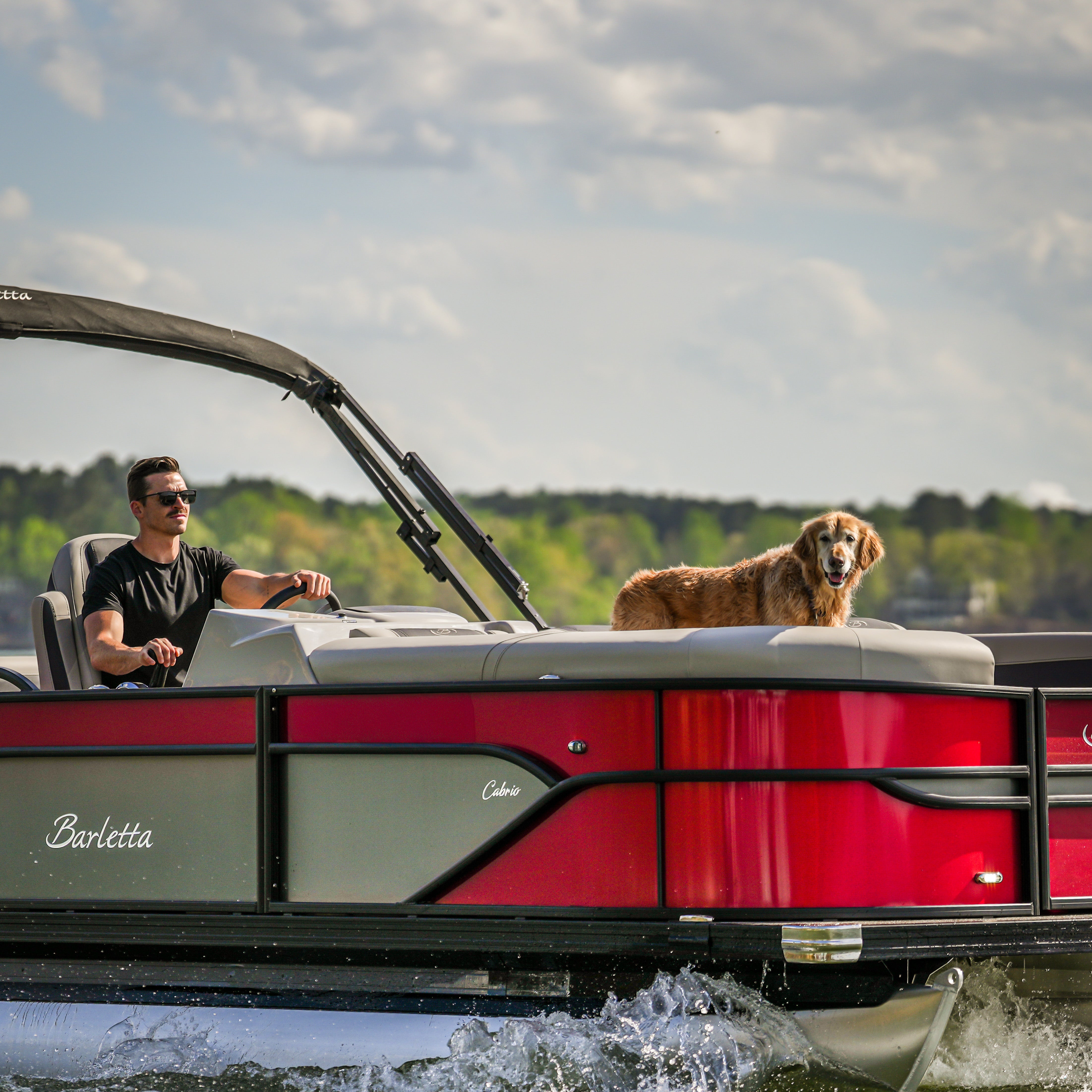 Load video: Pontoon Boat Dog Ladder