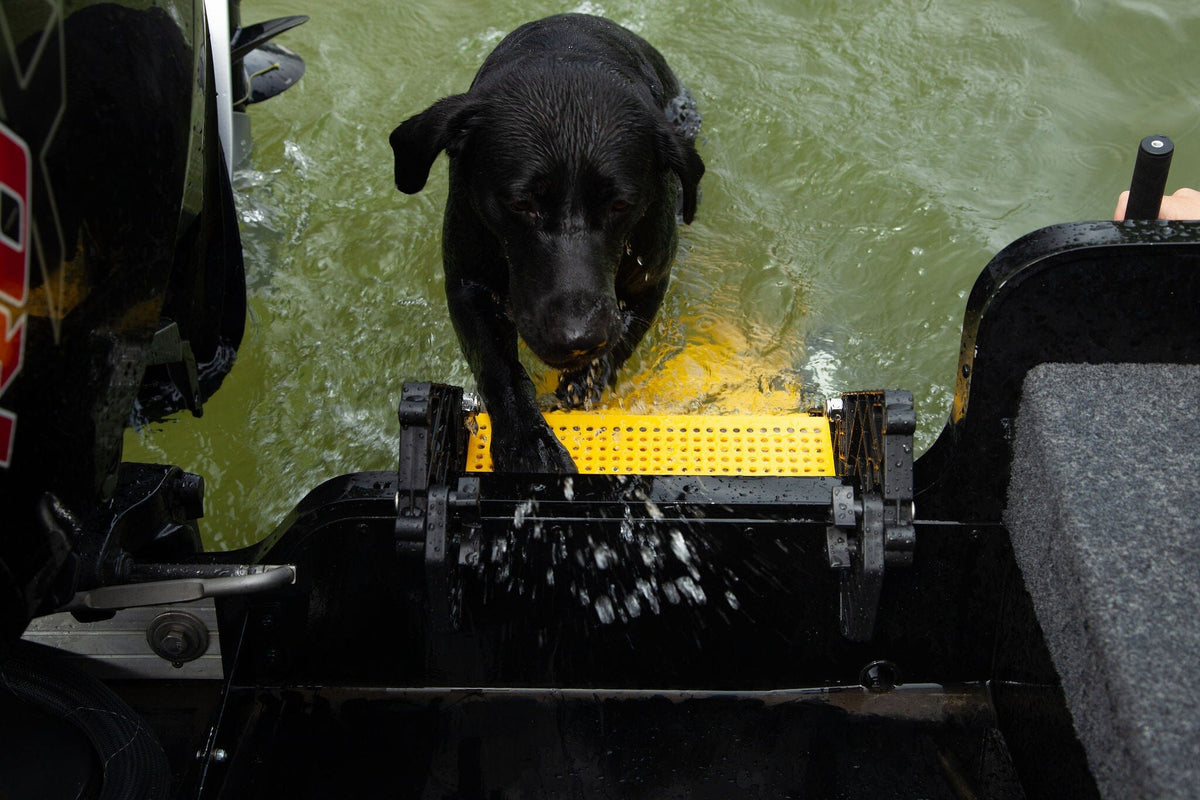 Hunting Boat Dog Ladder PYP 
