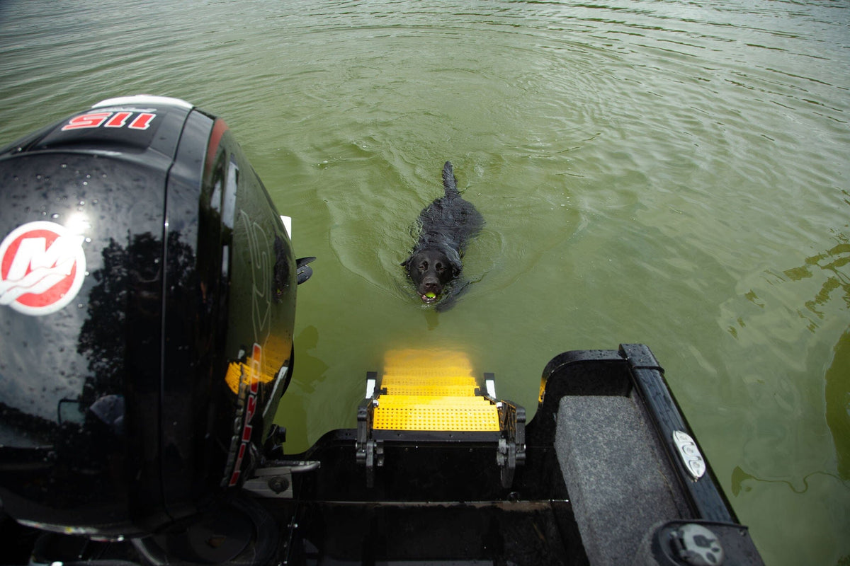 Hunting Boat Dog Ladder PYP 