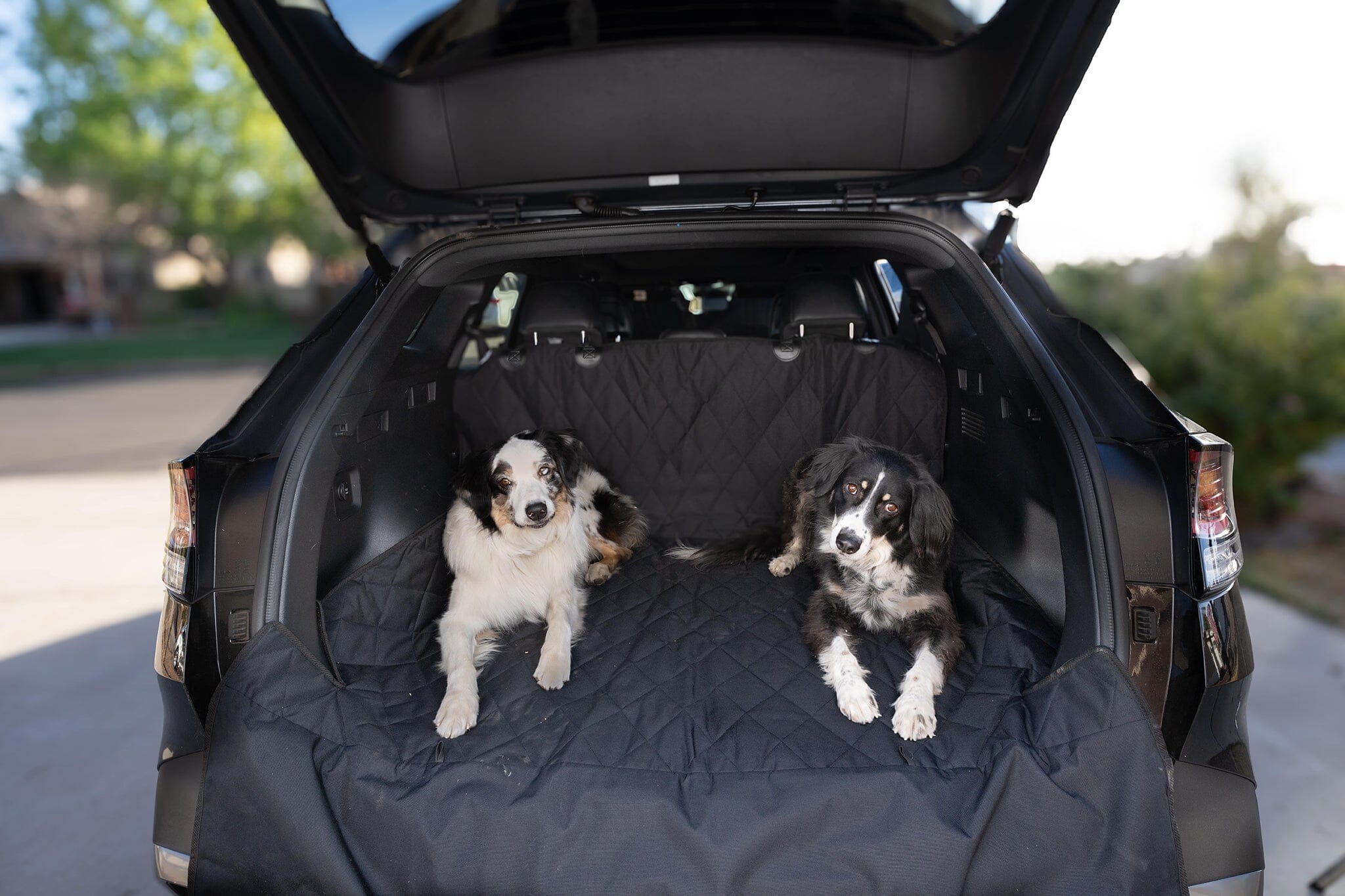 Dog Seat Covers - Cargo Liner Dog Proofer 