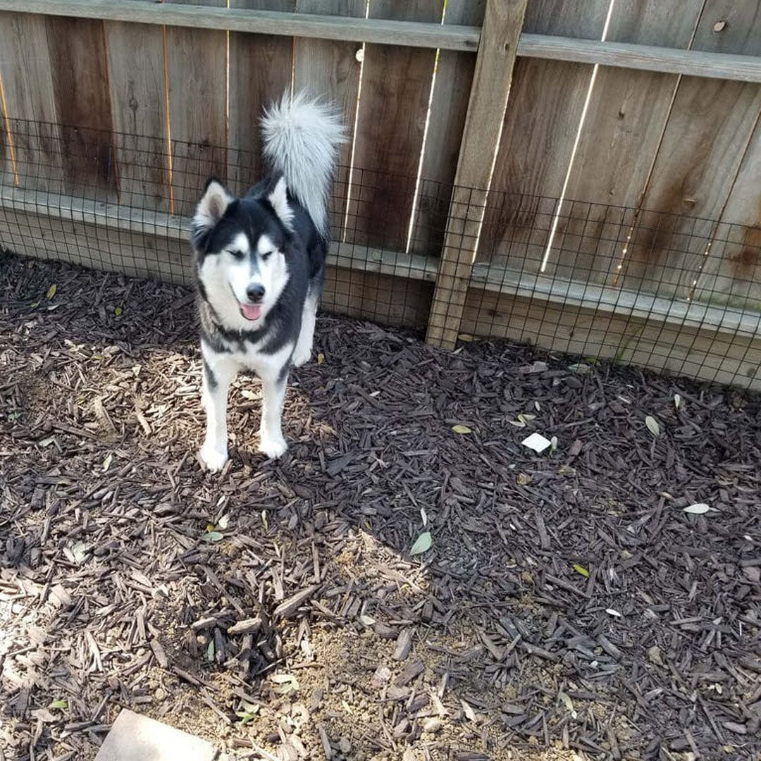 Wood fence digging prevention kit by Dog Proofer to deter pets from digging under fences.
