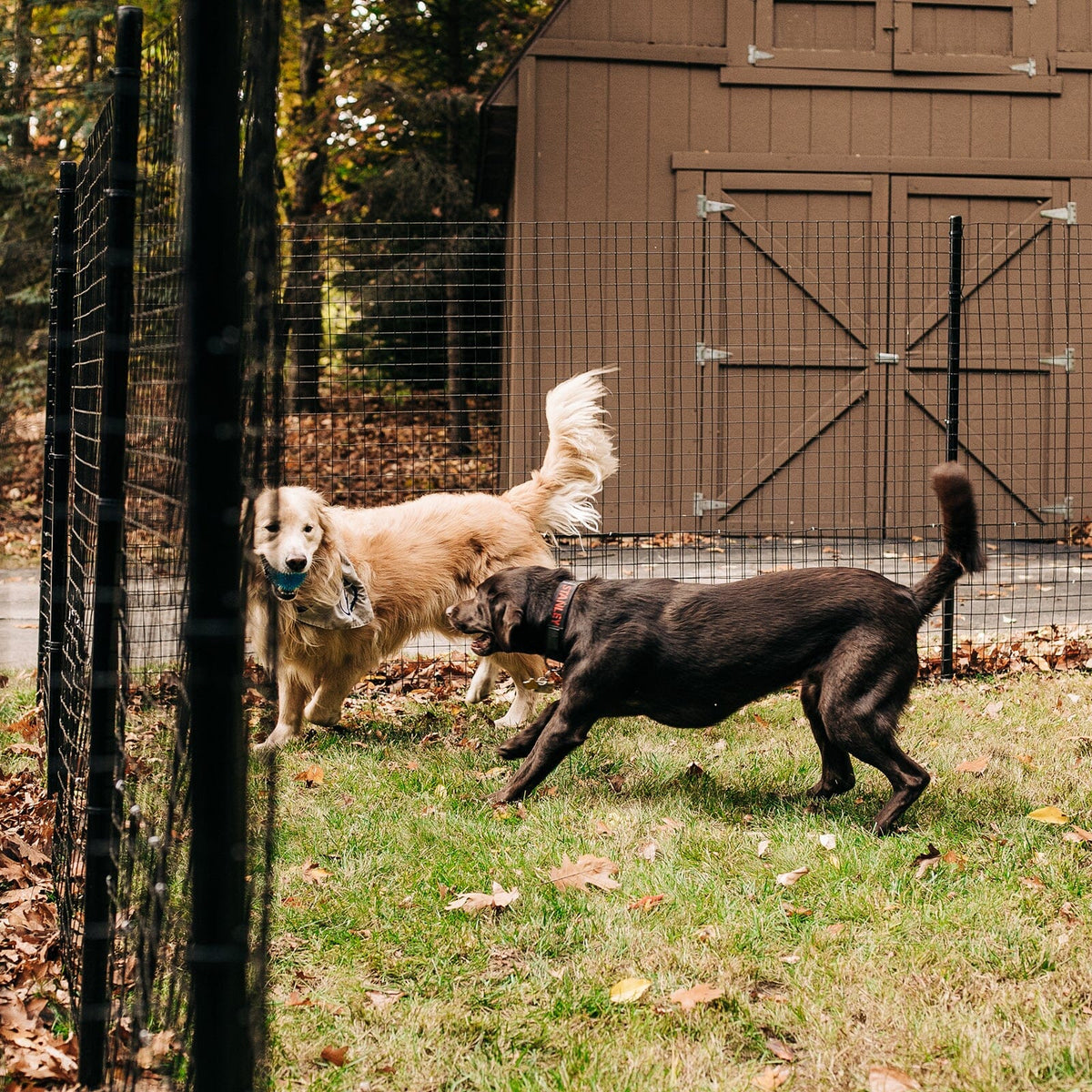 Another configuration of Dog Proofer&#39;s short freestanding dog fence with a square base, small image.