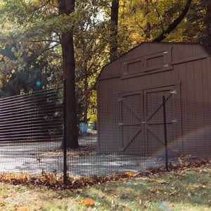 Outside dog fences for sale sales