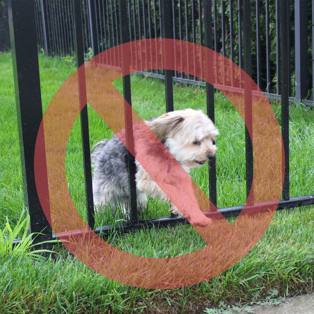 Visual of a dog getting through a fence, highlighting the need for Dog Proofer's barrier solutions.