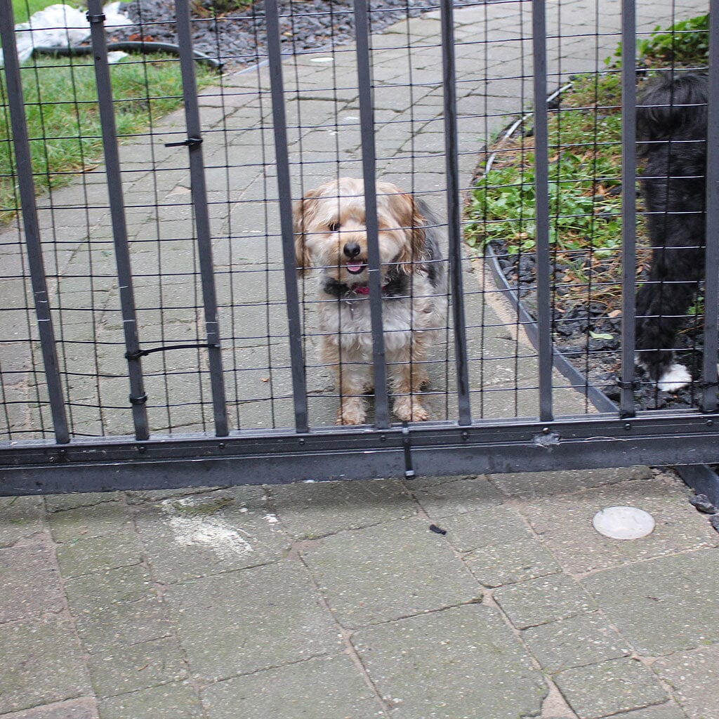 42-inch tall dog barrier panel designed to prevent pets from passing through existing fencing, by Dog Proofer.