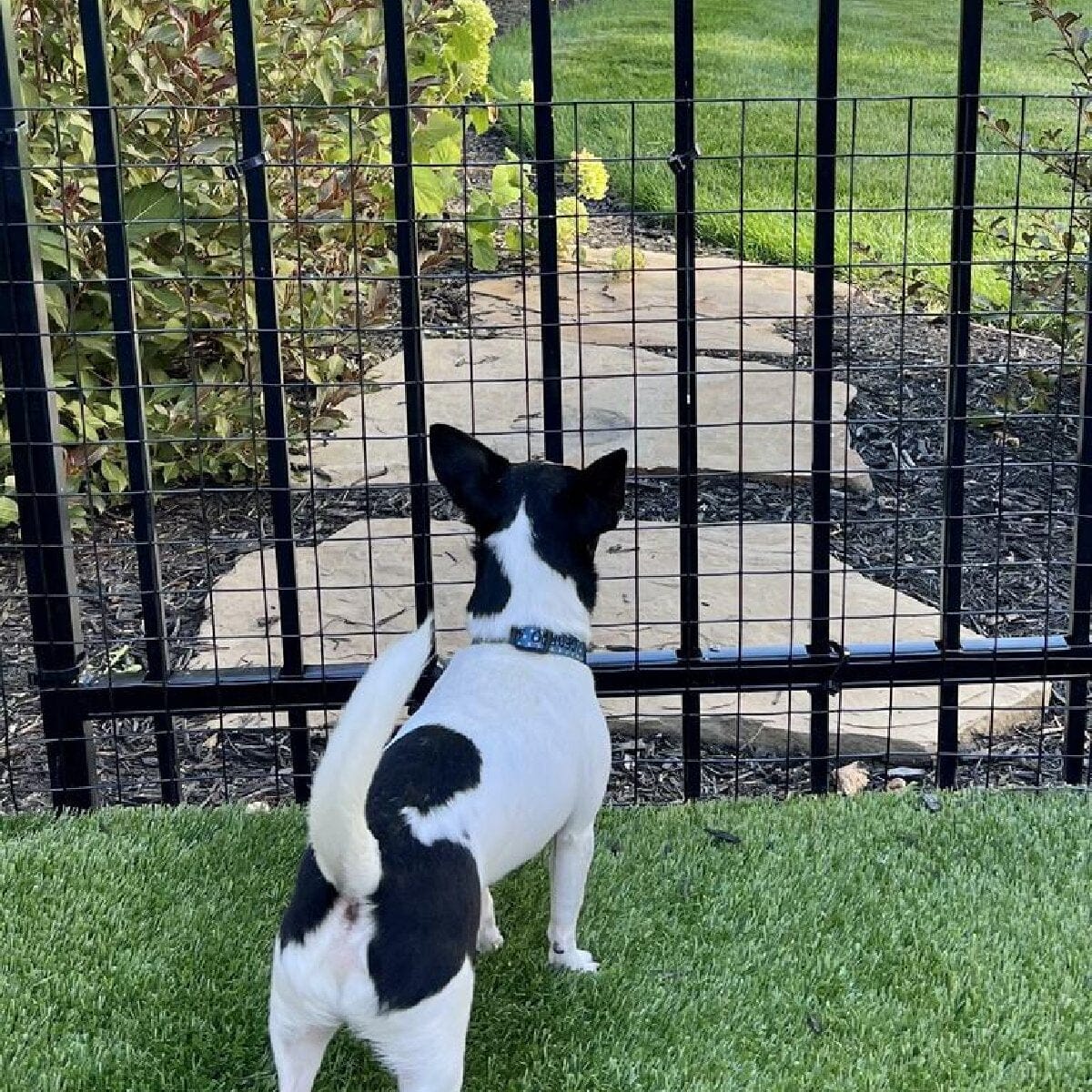 Wide gap fence barrier from Dog Proofer designed to prevent pets from slipping through larger fence openings.